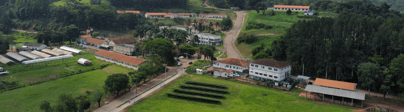 Fazenda